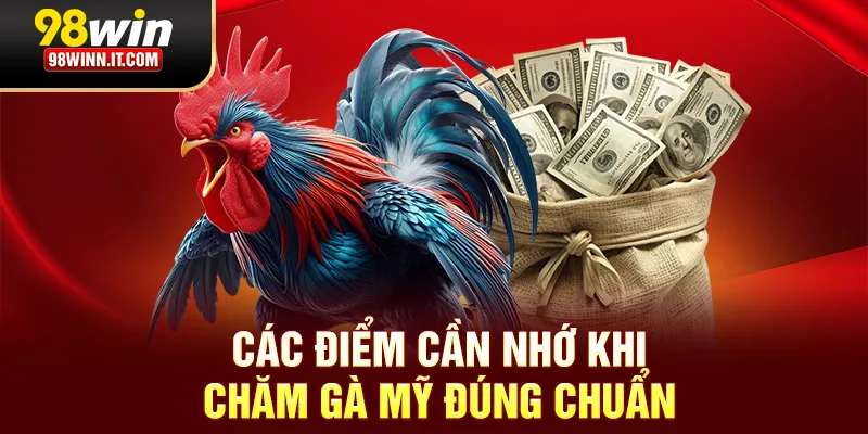 C&aacute;c điểm cần nhớ khi chăm g&agrave; Mỹ đ&uacute;ng chuẩn