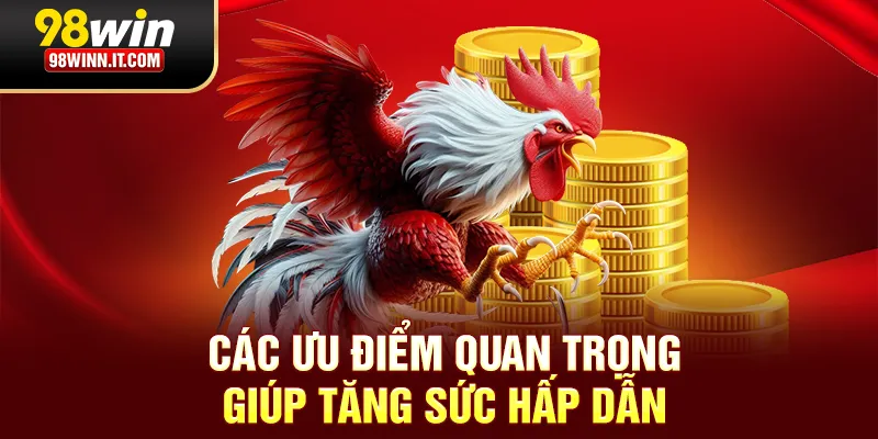 Các ưu điểm quan trọng giúp tăng sức hấp dẫn
