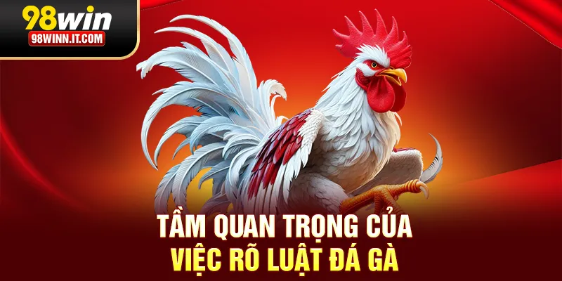 Tầm quan trọng của việc r&otilde; luật đ&aacute; g&agrave;